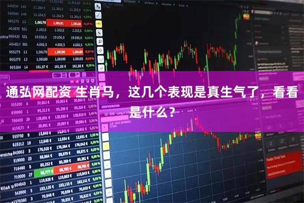 通弘网配资 生肖马，这几个表现是真生气了，看看是什么？