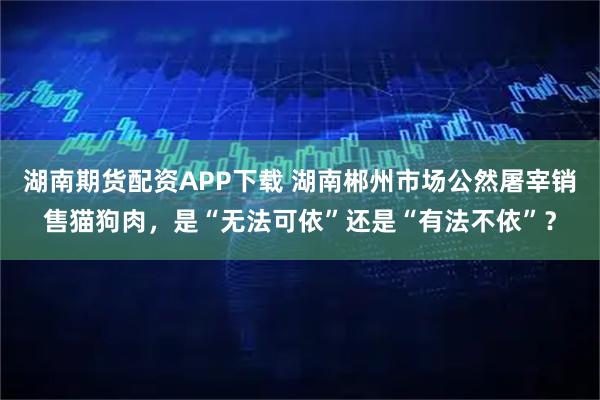 湖南期货配资APP下载 湖南郴州市场公然屠宰销售猫狗肉,是“无法可依”还是“有法不依”?