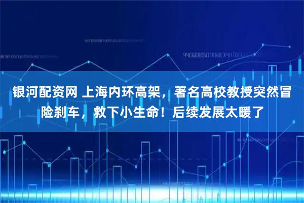 银河配资网 上海内环高架，著名高校教授突然冒险刹车，救下小生命！后续发展太暖了