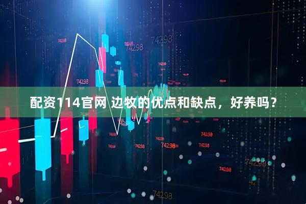 配资114官网 边牧的优点和缺点，好养吗？